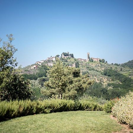 Terre Di Cocomo Borgo a Buggiano Eksteriør bilde