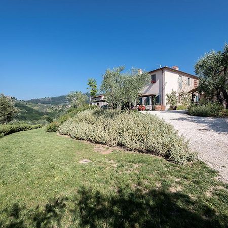 Terre Di Cocomo Borgo a Buggiano Eksteriør bilde