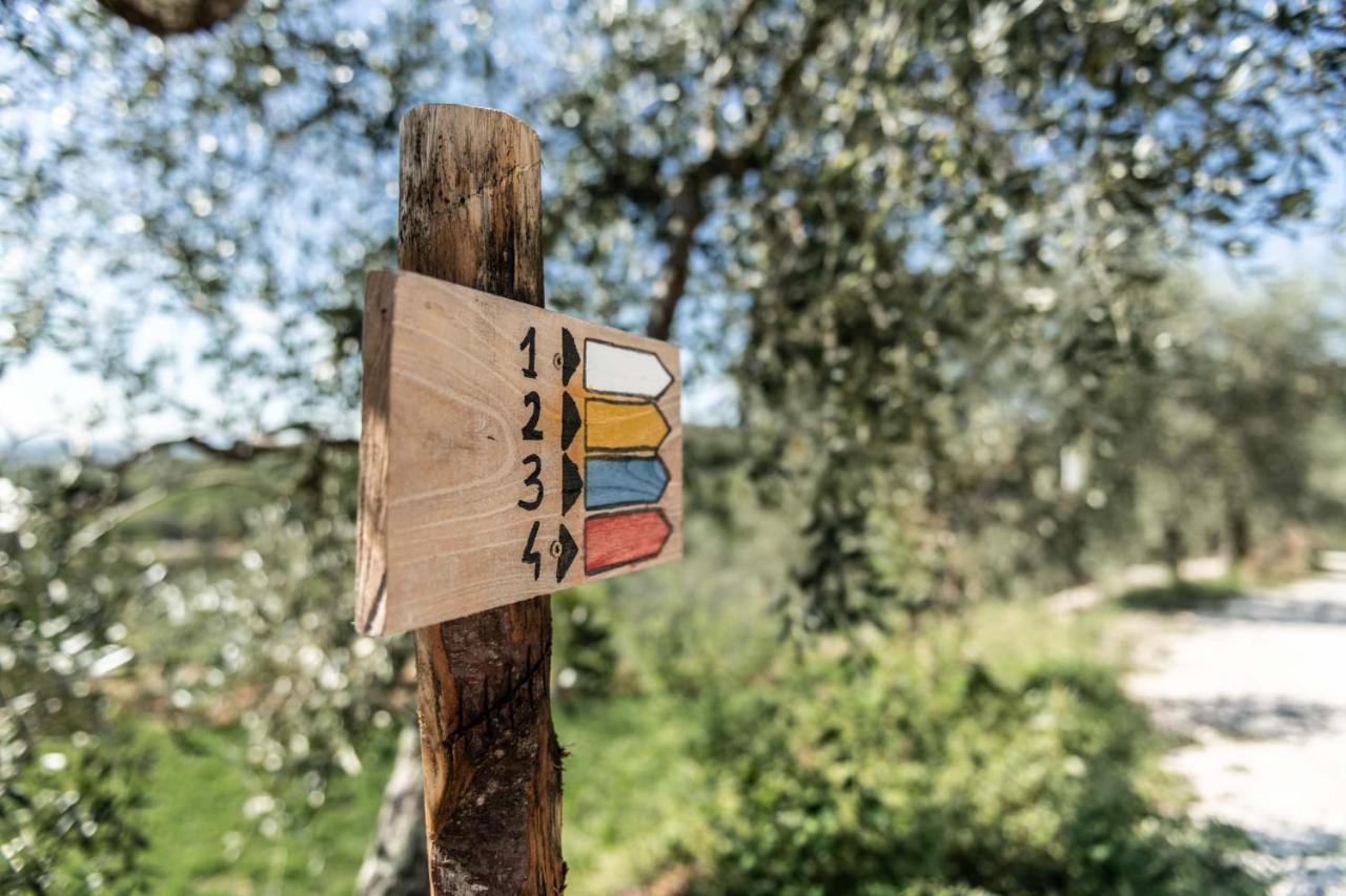 Terre Di Cocomo Borgo a Buggiano Eksteriør bilde