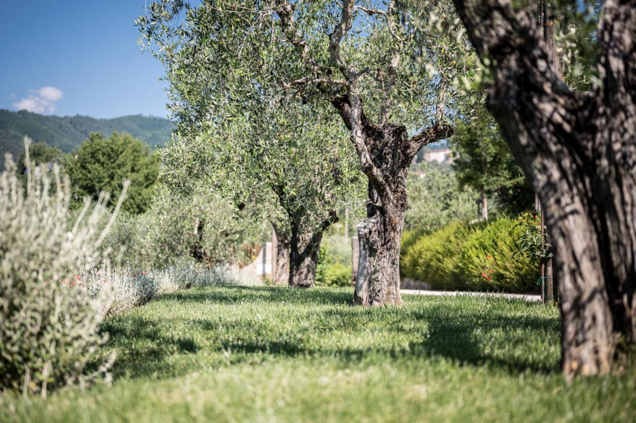 Terre Di Cocomo Borgo a Buggiano Eksteriør bilde